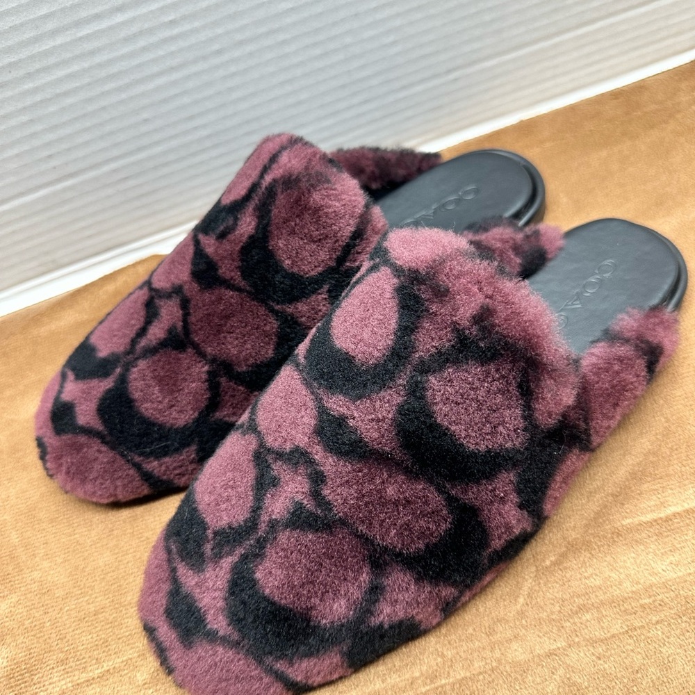 Coach Slipper in Signature Shearling Women's